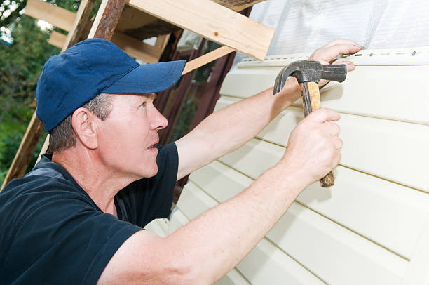 Best Insulated Siding Installation  in Stanleytown, VA