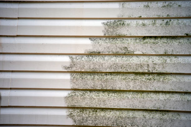 Best Composite Siding  in Stanleytown, VA